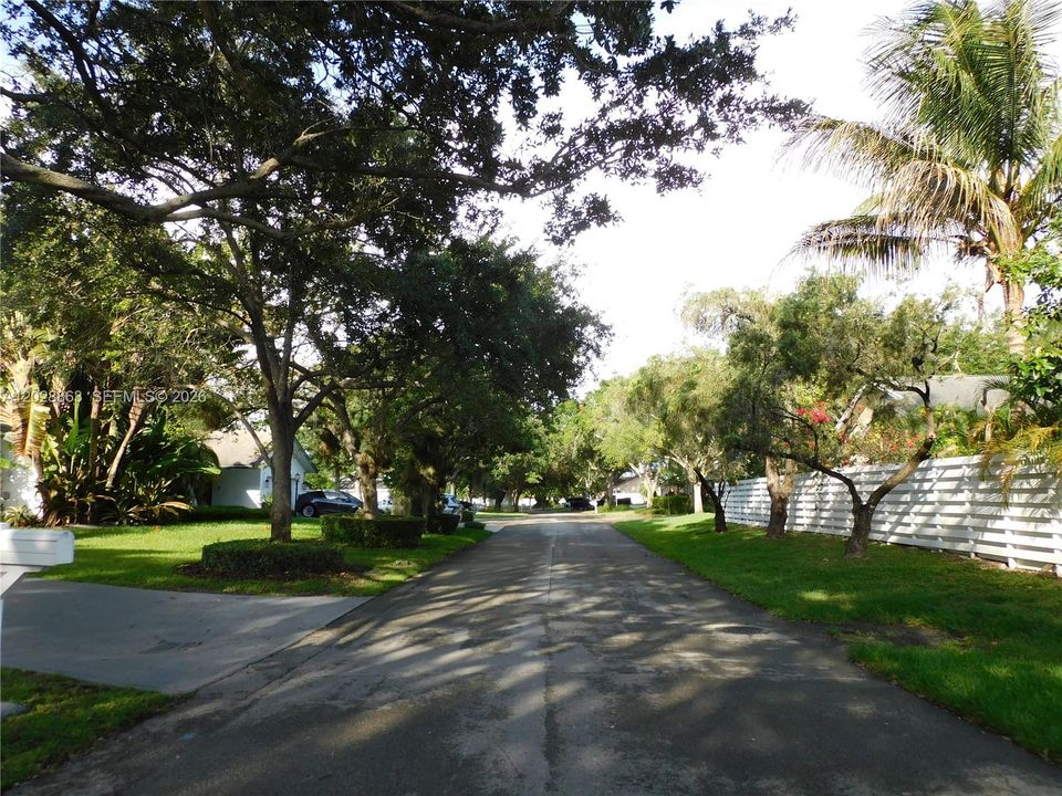 Street view to East.