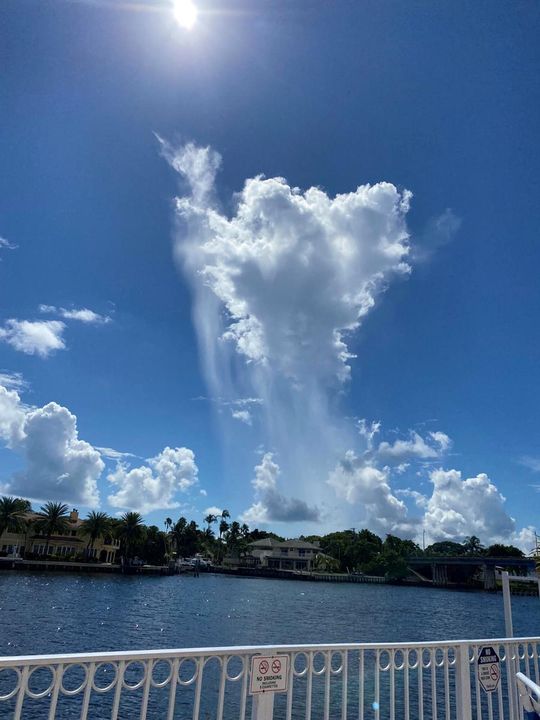 Do you see what I see?