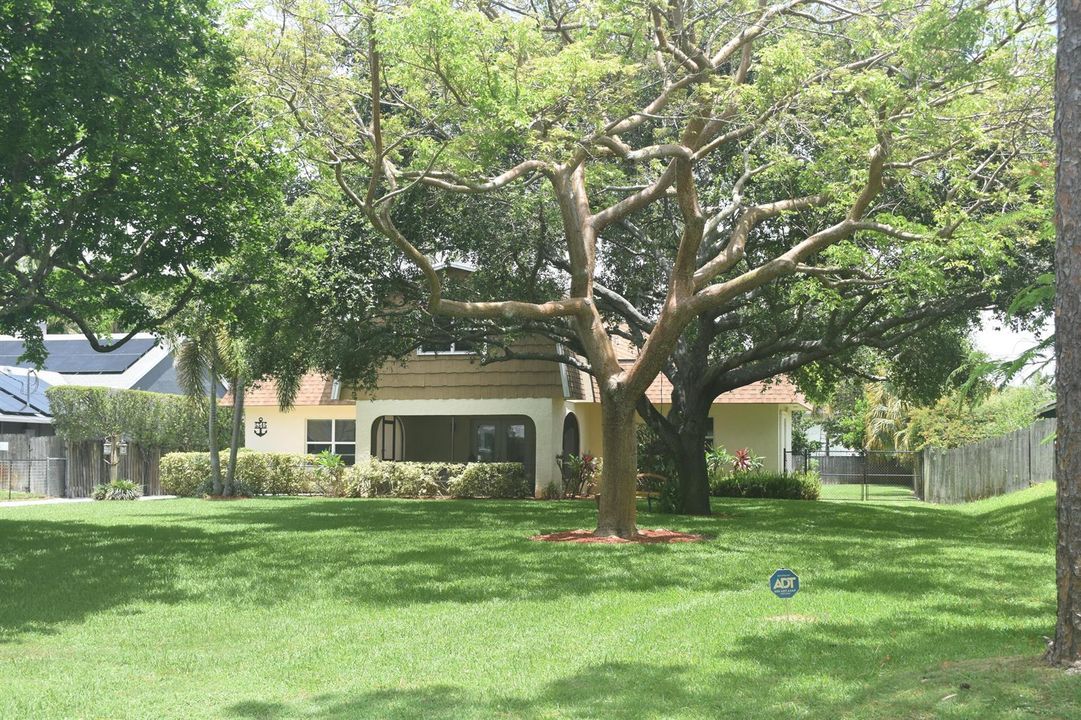 front from road with trees