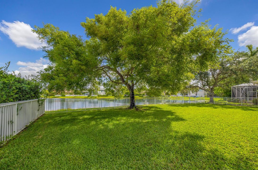 Backyard 4