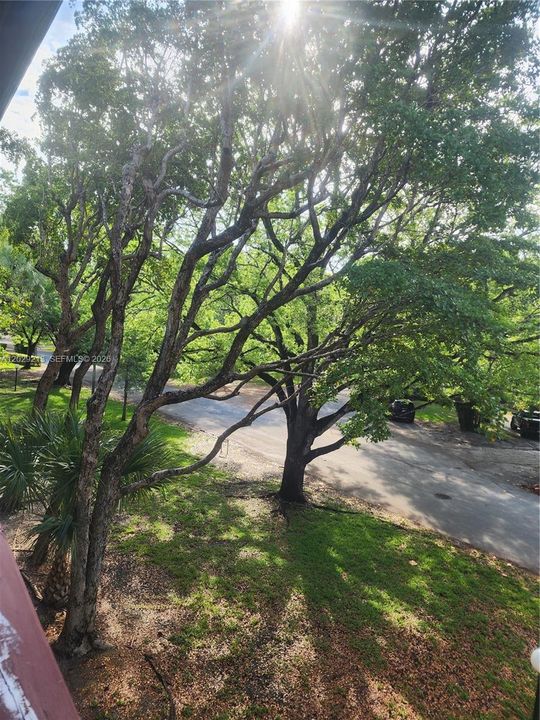 For Sale: $345,000 (1 beds, 1 baths, 898 Square Feet)