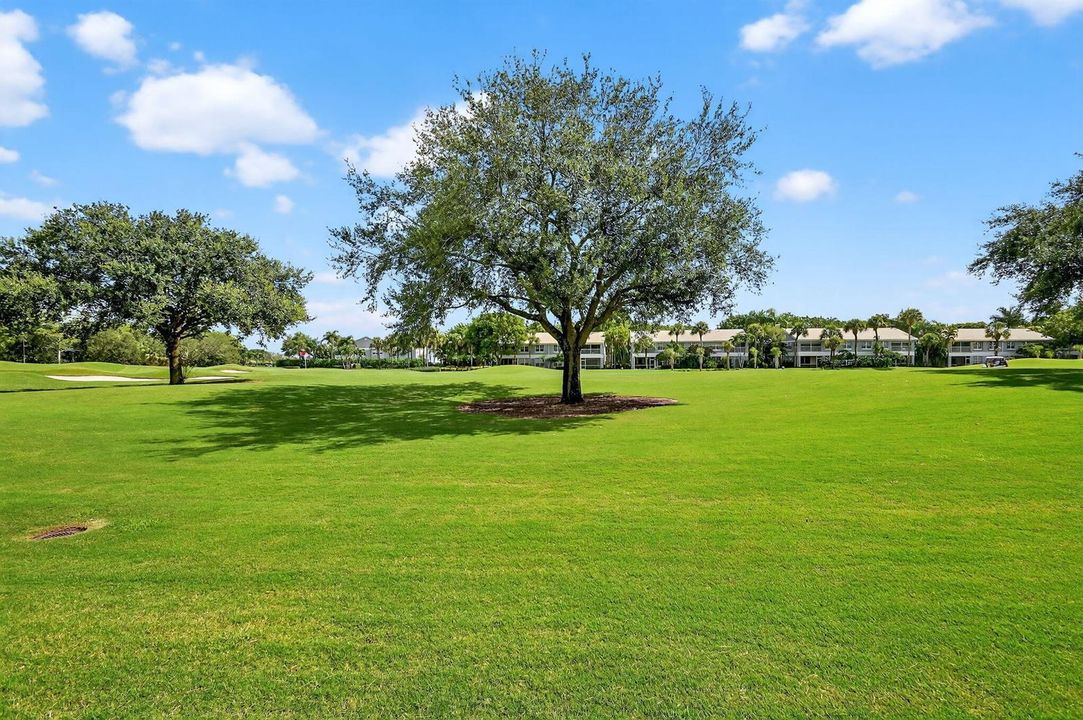 Golf Course View