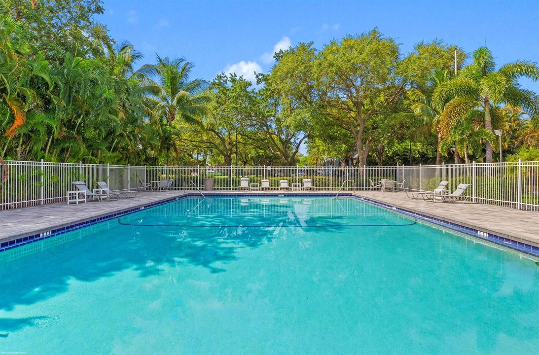 Palm Court Pool AAP 2025