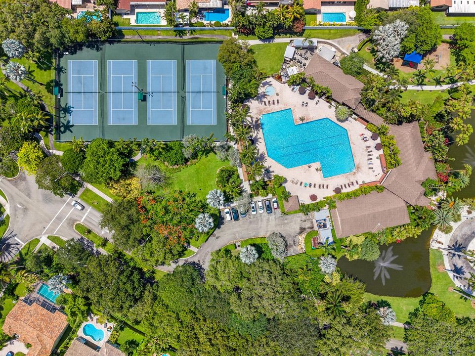 Community Aerial