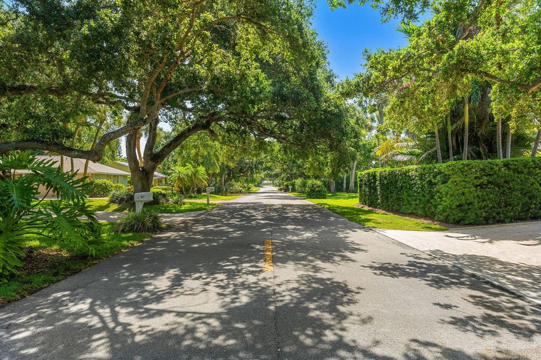 32 Oak Canopied Street (1)