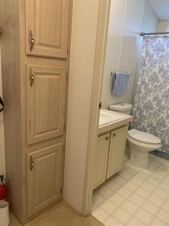Guest Bathroom 2