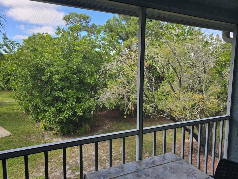 Balcon evergreen 1