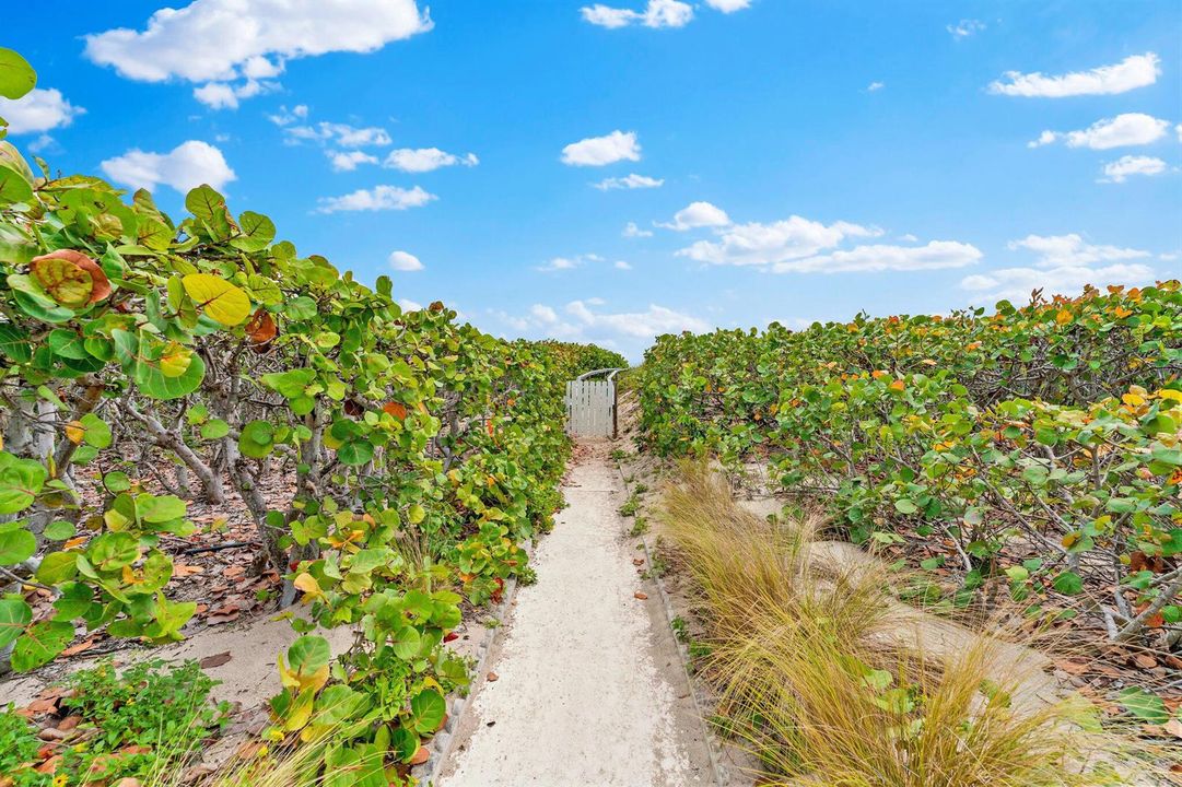 Beach Path