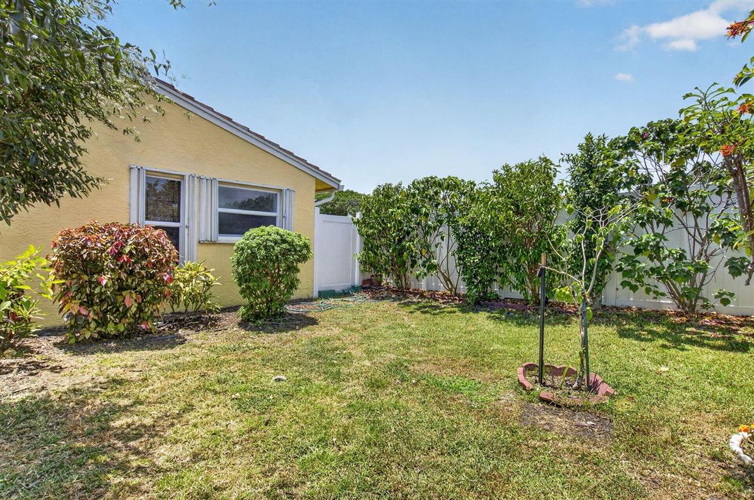 Expansive Garden