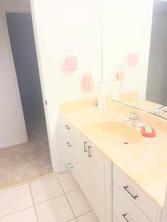 Guest Bath Vanity