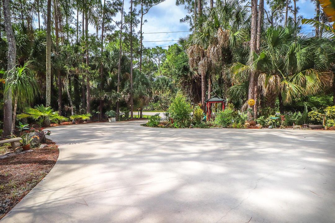 61-Main driveway