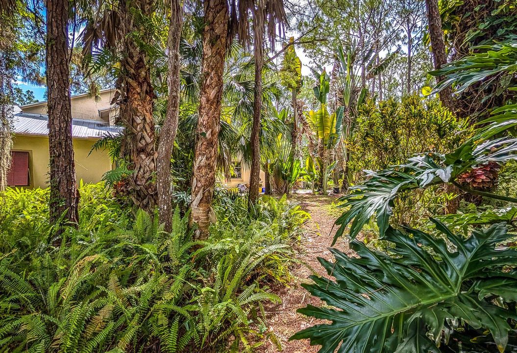 60-Side yard