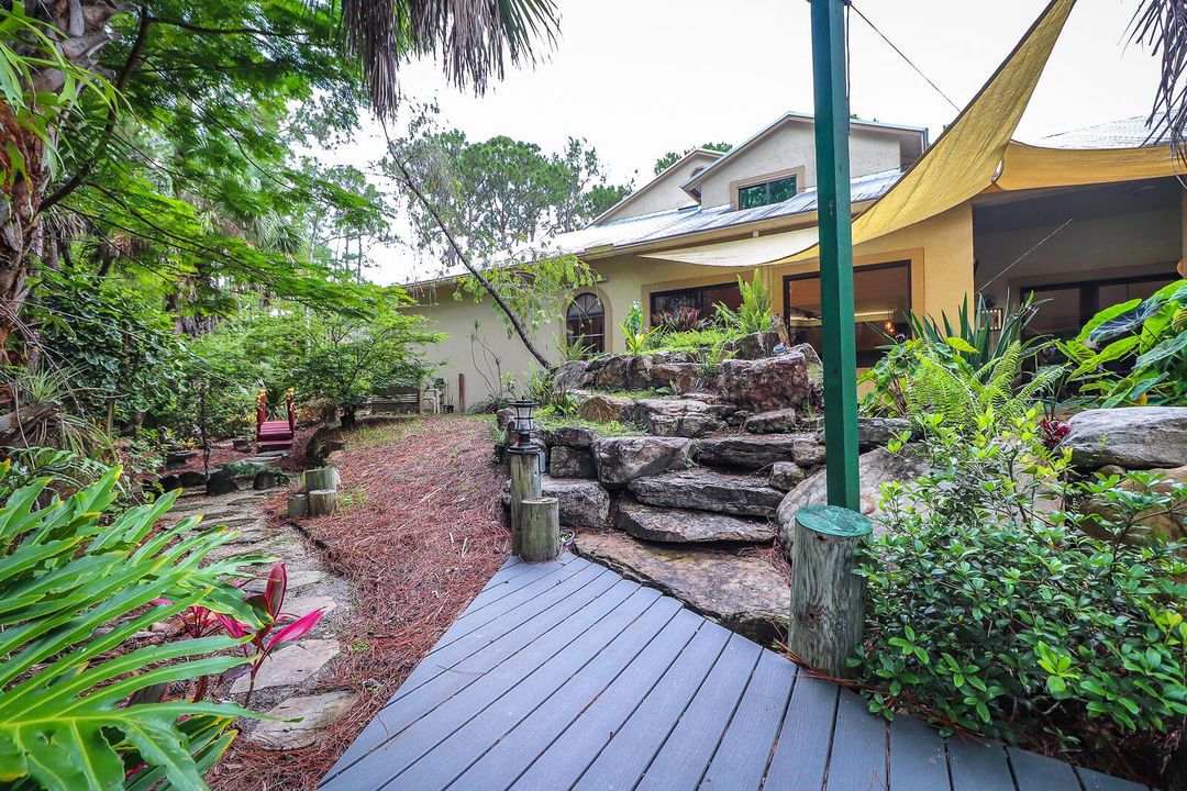 37-Back yard