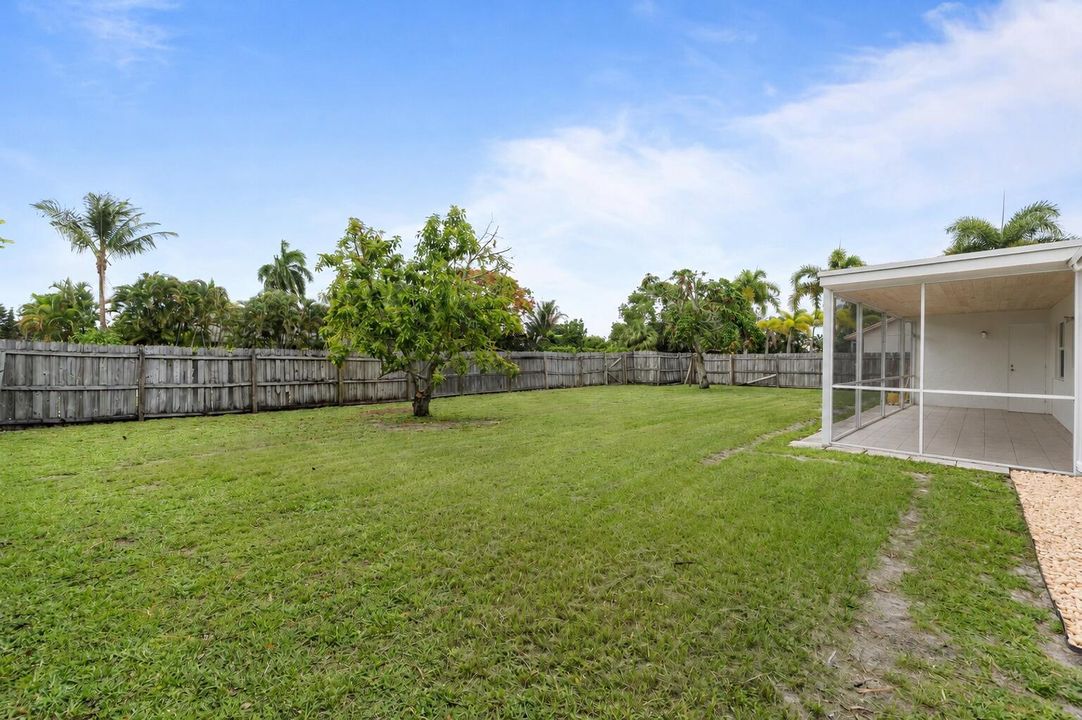 Yard