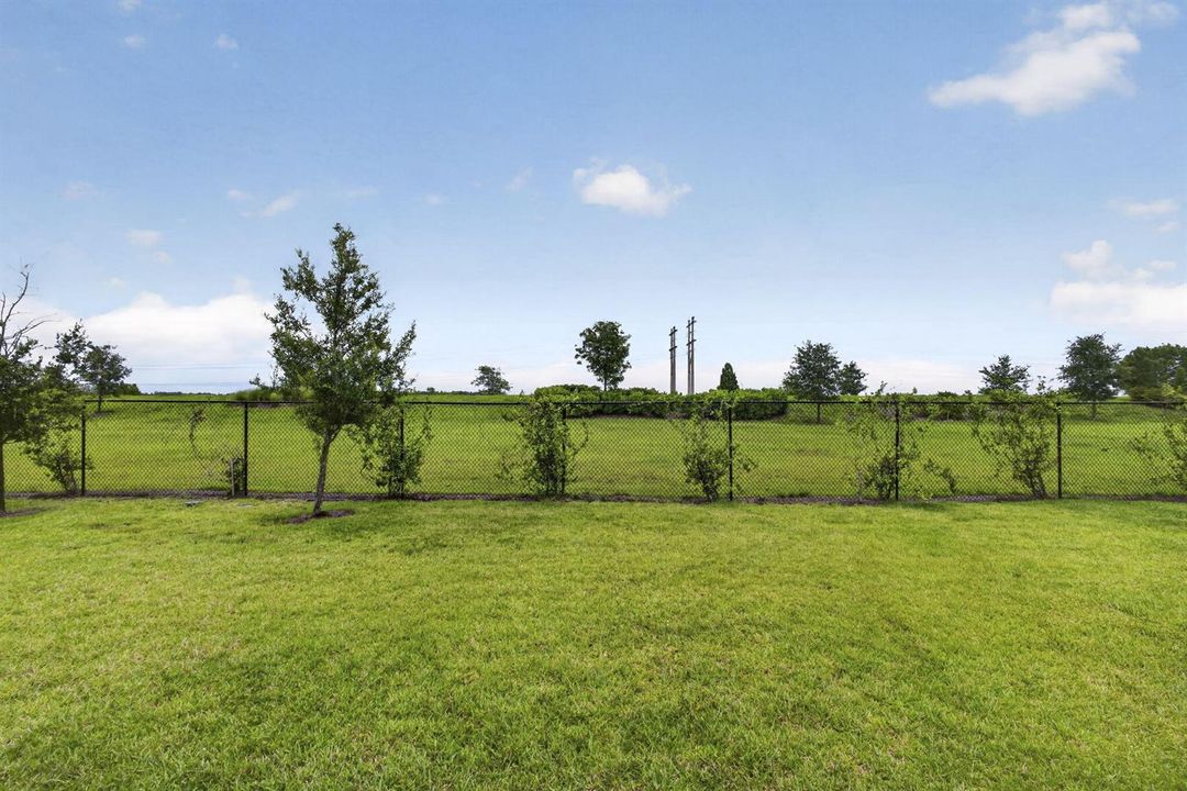 52-web-or-mls-BS1A3057