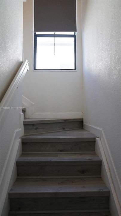 Недавно арендовано: $3,900 (3 спален, 2 ванн, 1595 Квадратных фут)