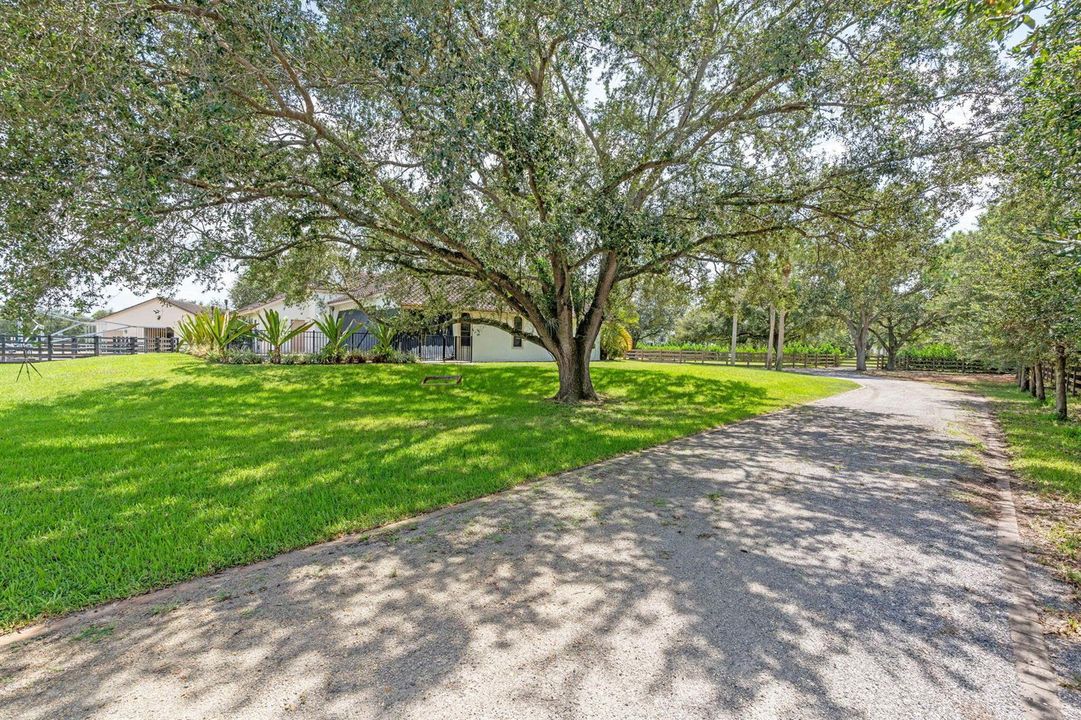 104-web-or-mls-A7408568
