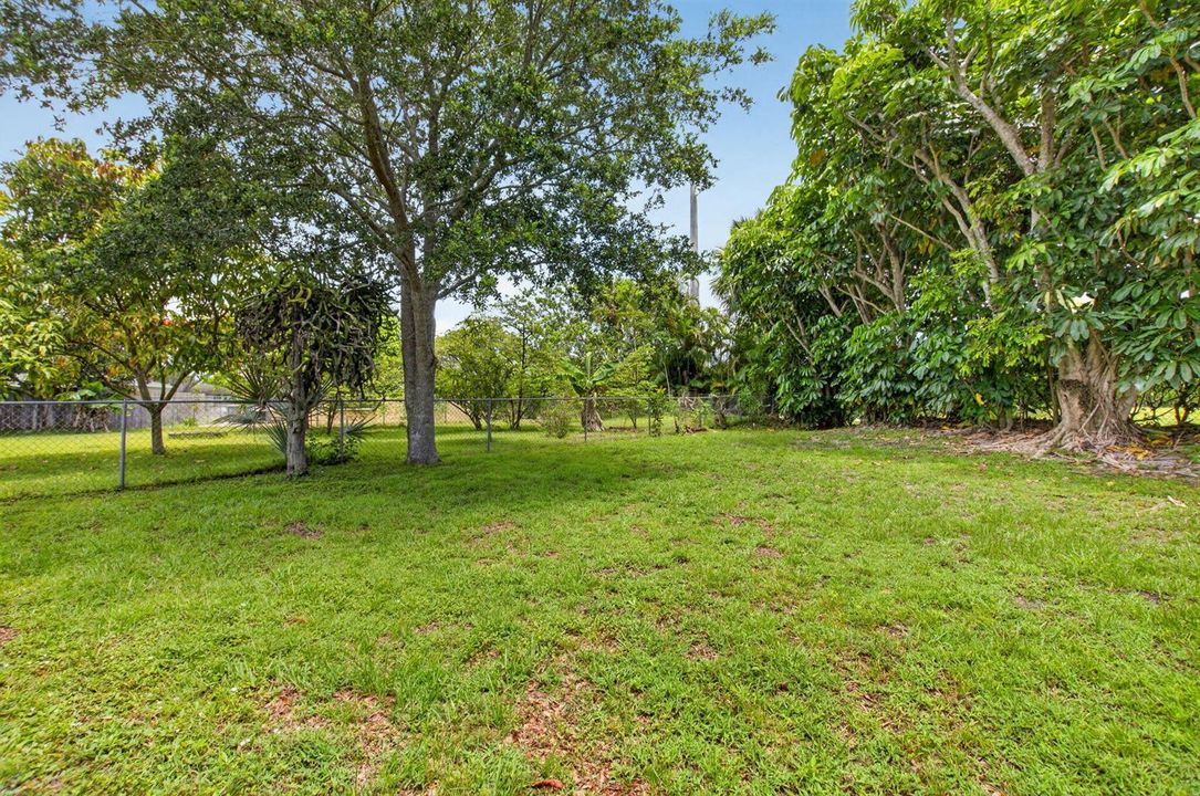 Yard