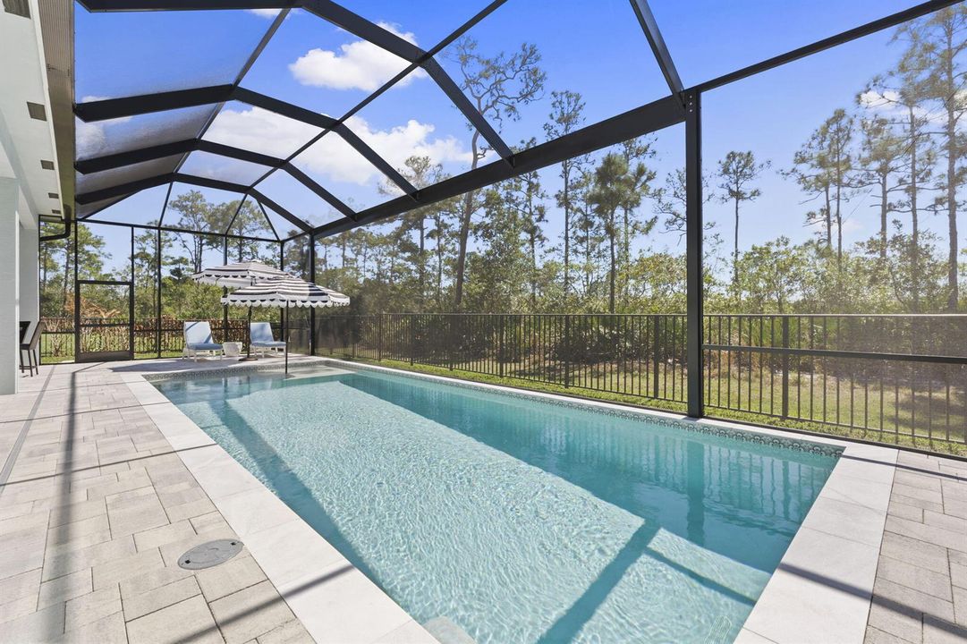35-web-or-mls-DSC05010