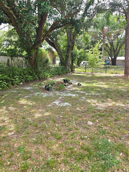 Backyard