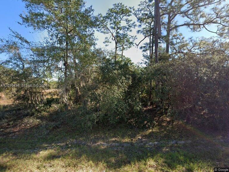 待售: $79,000 (0.16 acres)
