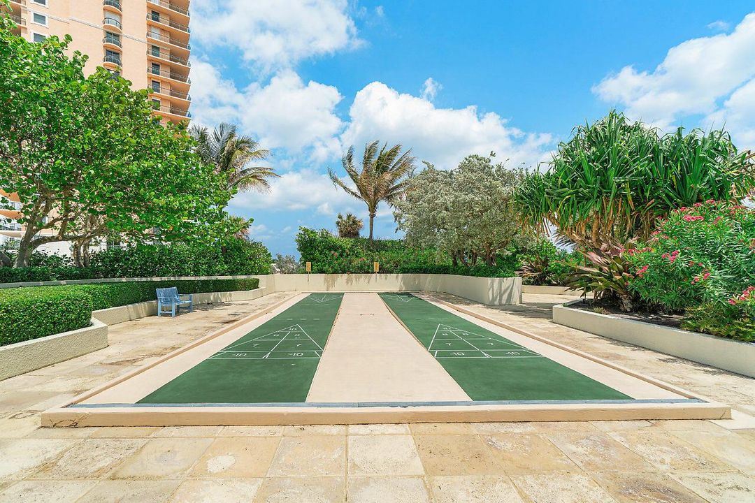 Shuffleboard