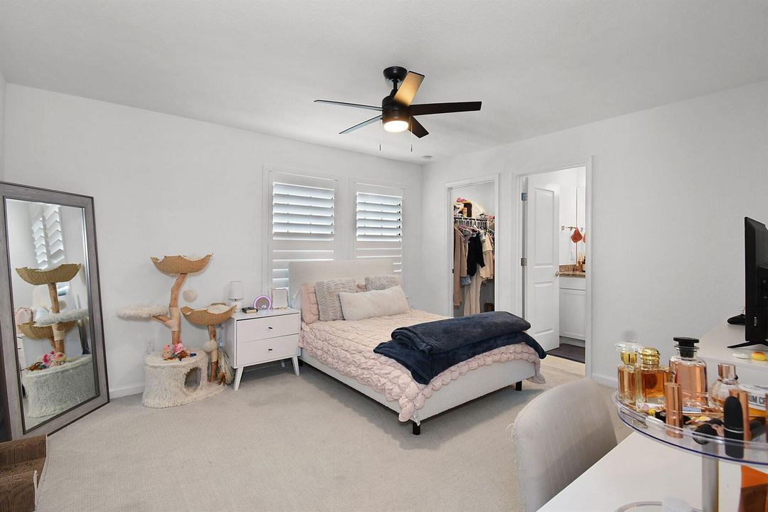 56-web-or-mls-500_6694
