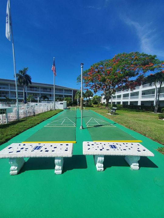 5203 Maybury 108B, shuffle board