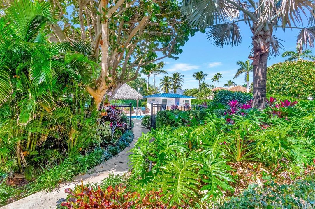 Tropical surroundings
