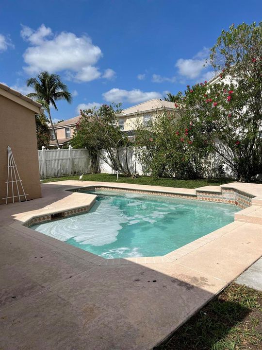 Home Pool 1