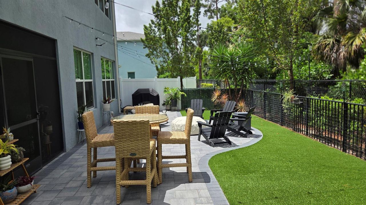 Back Yard