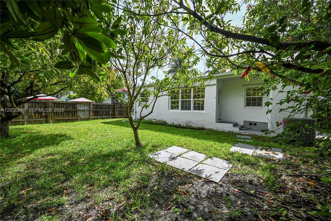 Backyard