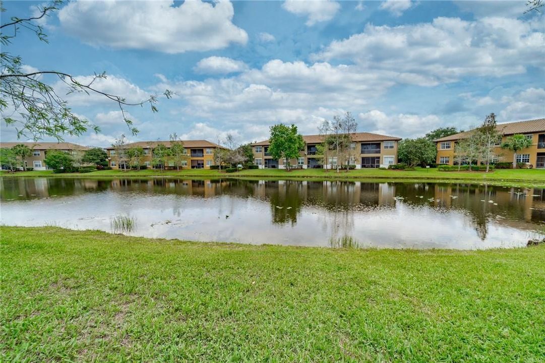 Lake view