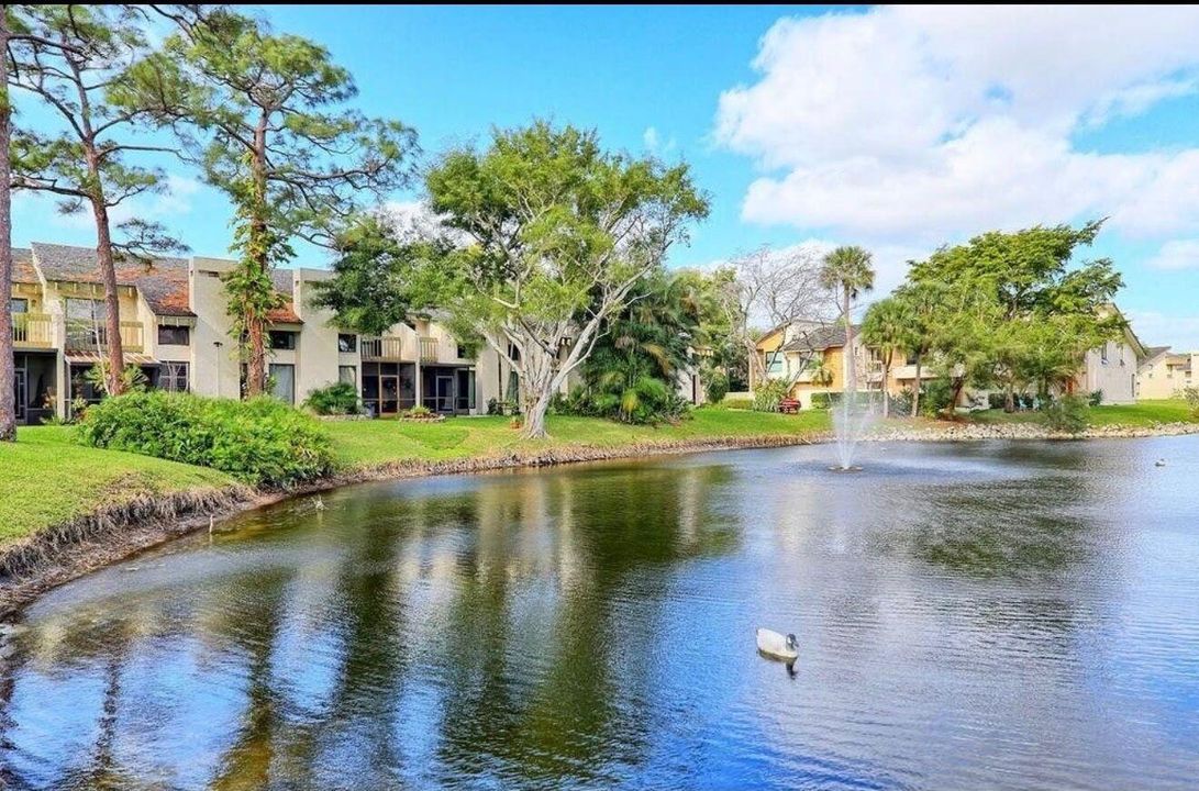 Community Lake