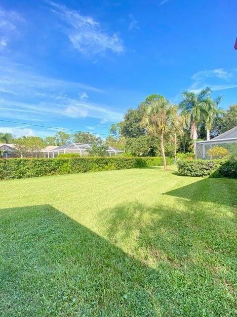 Back yard 5585