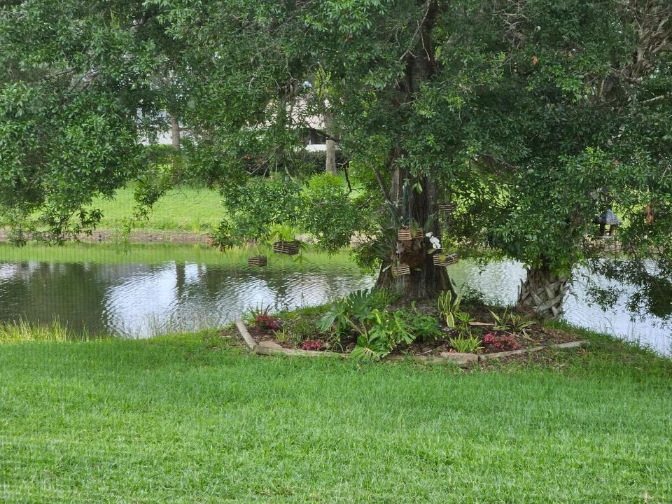 Rear Lake Views