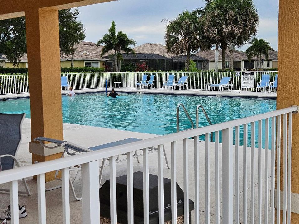 Calamondin Pool Photo