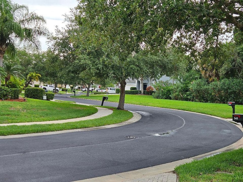 Front Roadway