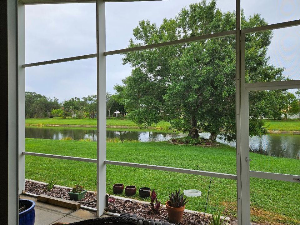 Rear Patio Views Calamondin Way