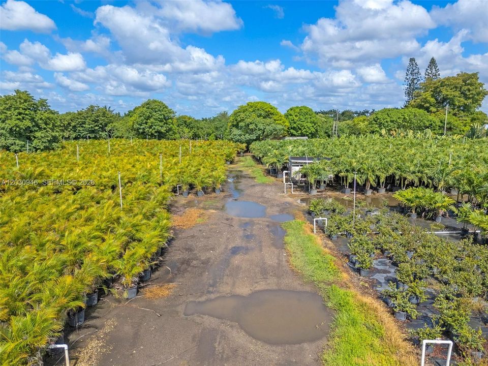 En Venta: $399,000 (1.32 acres)