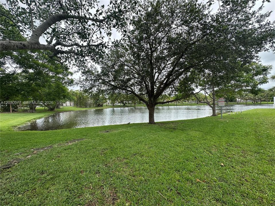 Lots of greenery throughout complex