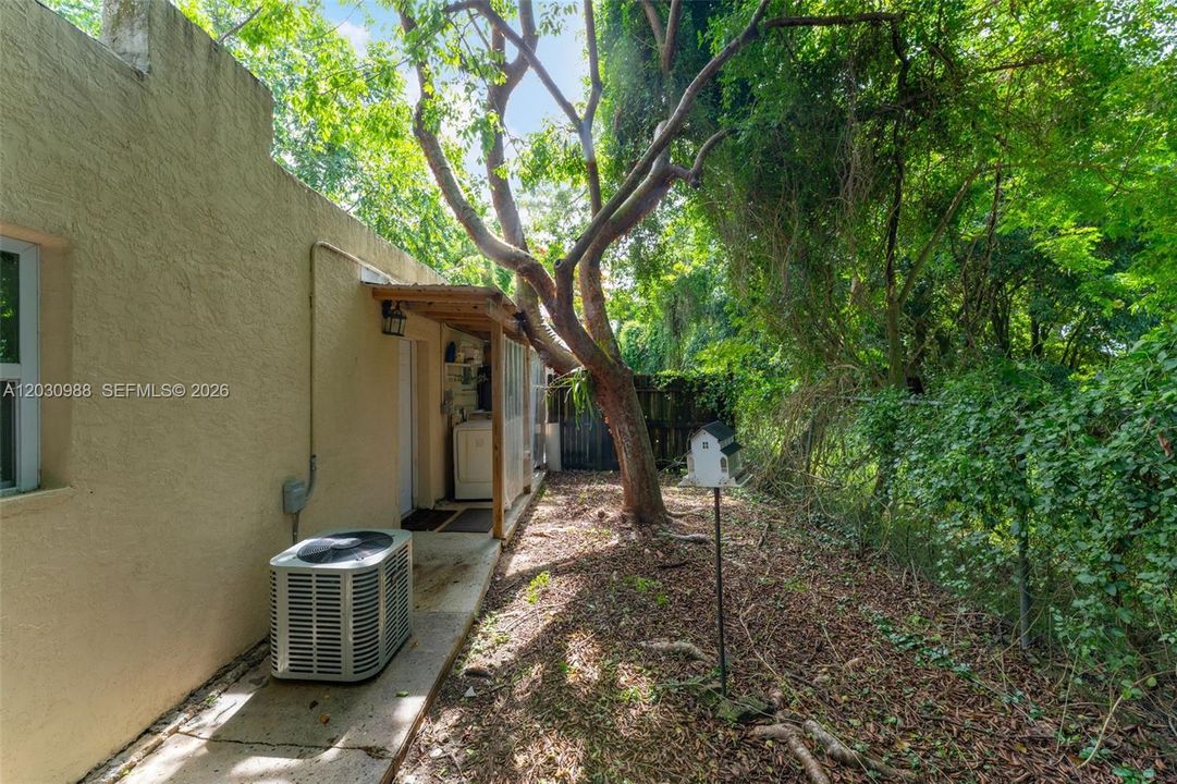 SIDE YARD