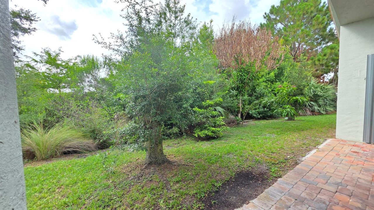 Yard