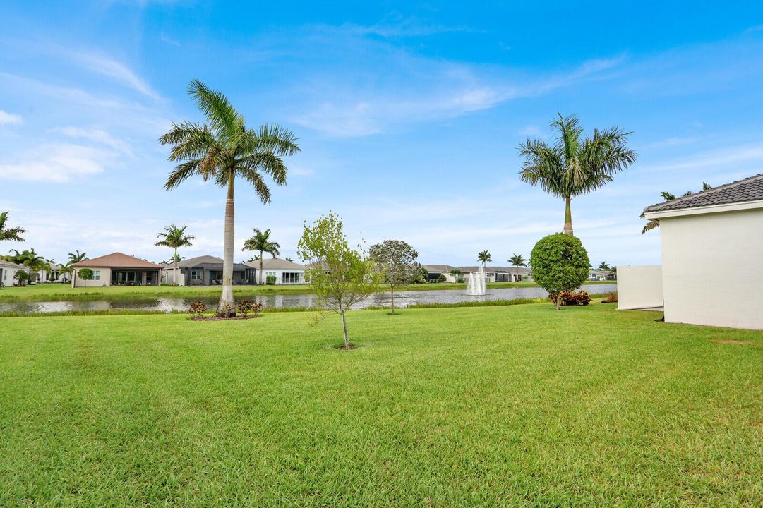 LARGE BACKYARD
