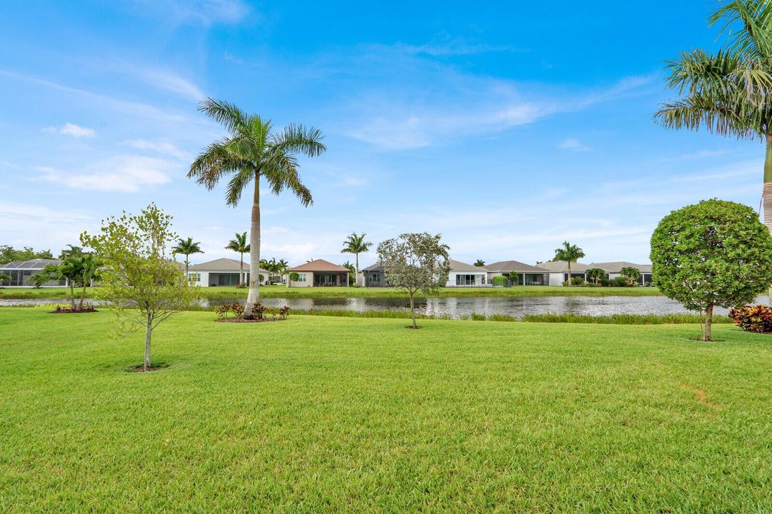 LARGE BACKYARD
