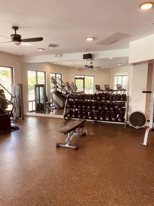 gym 5