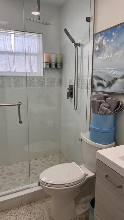 Guest Bathroom 1