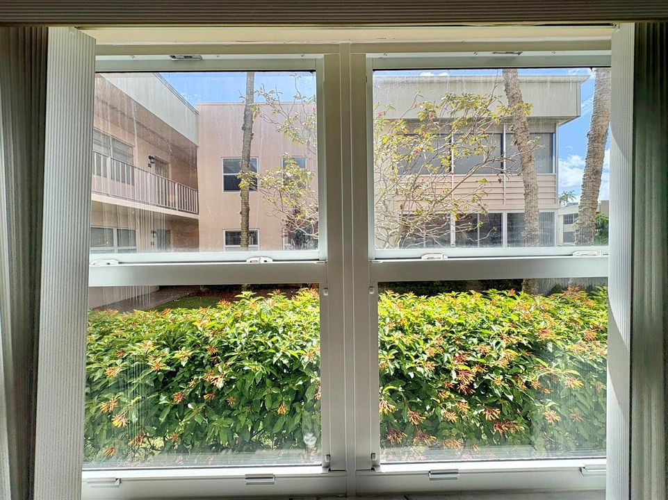 IMPACT WINDOWS