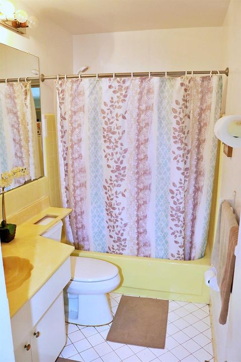 Main Bathroom