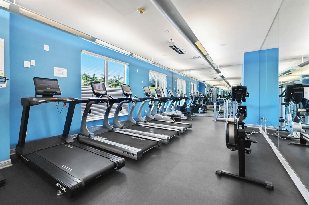 05 gym 01